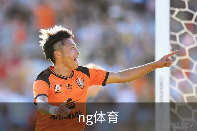 ng体育公司简介